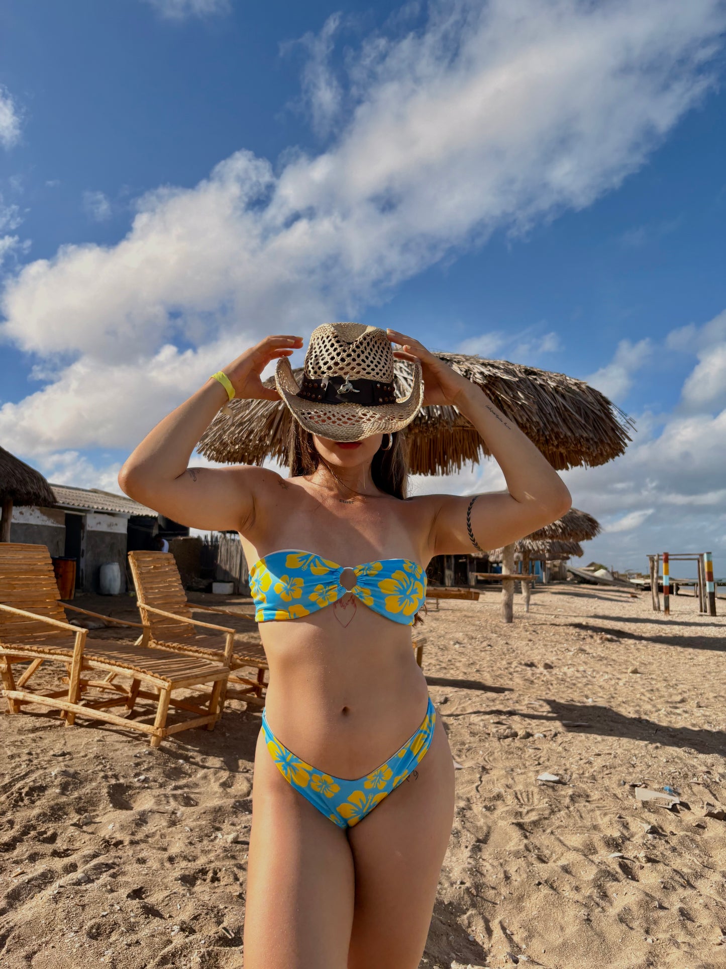 HIBISCO AMARILLO CROP